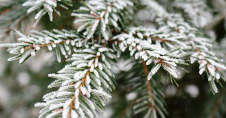 81417a72b1066ca39c71ec63b83736e1_19.12.25_1