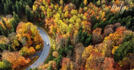 8172108d2acd71cc8b7d6982a9f439e4_24.11.25