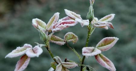 818e20946be8b1f1c1eb0c8eaed1f76a_20.11.25