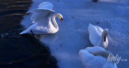 819b6003d291e024ca8ca237cb5fdc43_26.01.26_1