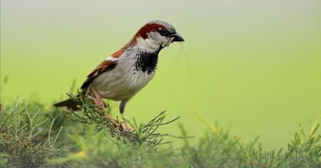 82a5dcd252f46303dbb27adb3268c004_18.11.25