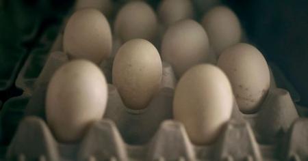 832d492416e3b82471896d3de2af8e7e_02.12.25_1