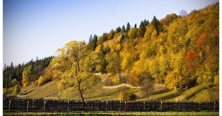 Прогноз погоди на 21 жовтня: де в Україні очікується +15
