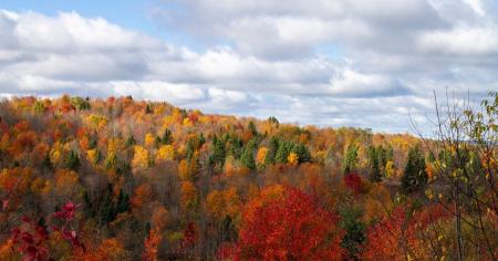 Гороскоп на 28 жовтня для всіх знаків зодіаку: день, коли потрібно аналізувати помилки та визнавати провину