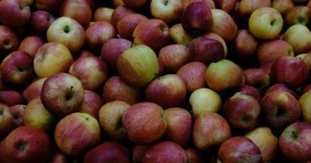 85b6f9d1dd5e425f2cc034d9ae0125da_20.01.26_1