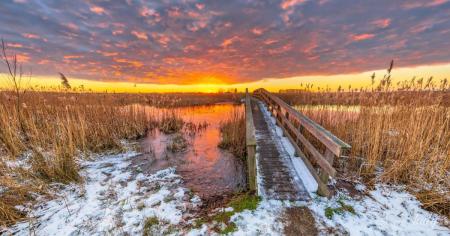 86f9f2805c714c22aef5dd8f1f40e1d1_01.02.26