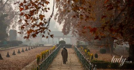 Осінь готує сюрприз: в Україні різко зміниться погода 22 жовтня