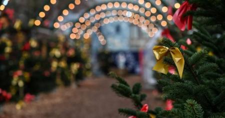 893e4709a8bde16d945b7735f3d5b5c6_31.12.25_1