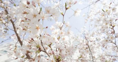 896742f2e4e1cda0f1886c471319600a_05.02.26_1