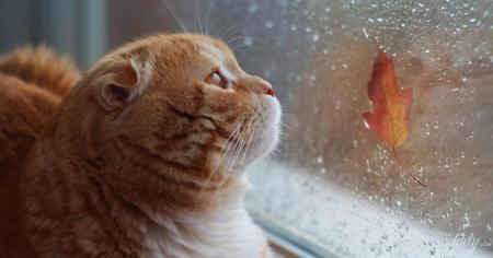 8b0134f3a89b8a35672dd99ddc15691d_11.11.25