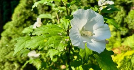 8d55a385dccf0062a266a347687a9803_30.01.26_1