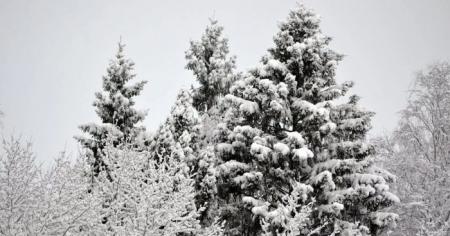 8e3cca5c20ddfd93cb554712240c749a_20.-01.26_1