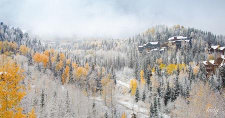 8f9820687790b5ffcc52bb6b88360134_16.11.25