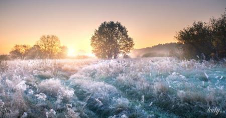 901c6eb508258333d10ea609e63842e9_26.11.25