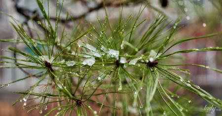 902d72b53cb62c95a162f3187f02773d_29.01.26