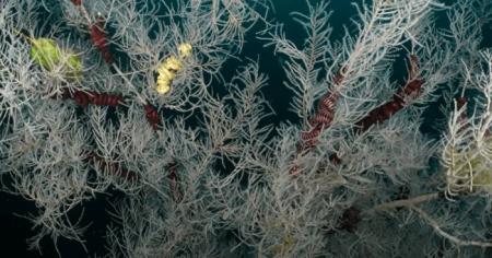 904cd3ad5ad140e8264acd3bccce3663_18.01.26_1