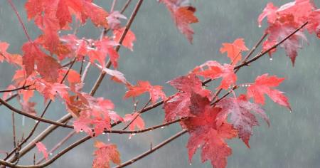 90654d8c910f8d9b697c538ad4b9df4d_24.10.25