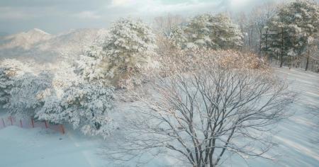 91065e1a19092f3d06d9afc712a811c6_29.12.25