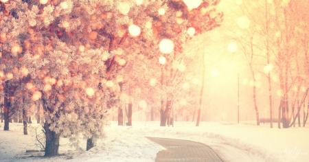 911e4ca715ca11d9791c6b38e45d78ca_18.12.25