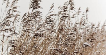 Гороскоп на 22 січня для всіх знаків зодіаку: день, коли будь-які уявні зусилля принесуть користь