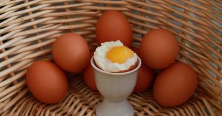 925a06c07a4ed983ff2864f104734e15_01.01.25_1