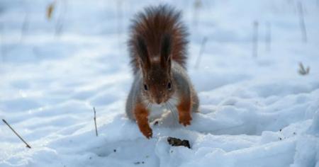 94b1f908a562852367b0426cf31e1eb7_03.01.26_1