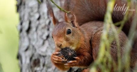 94fabb0b0eebae3c047a81b7f6adcdb9_03.11.25