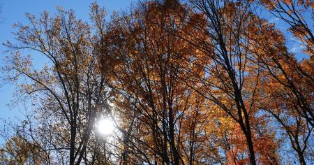 952abba7714ca568b4911c9db5845cf4_10.11.25