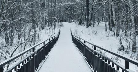 9545924793e6763b983dd065bd54d2bf_02.01.26