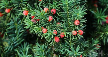 95d64df59b9c48883e65e28d0ed30b0b_31.10.25