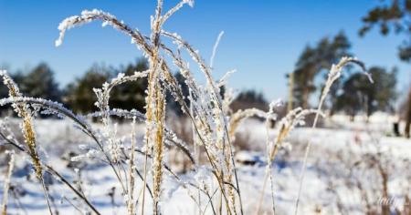 Гороскоп на 19 грудня для всіх знаків зодіаку: день, який піддасть людей випробуванням