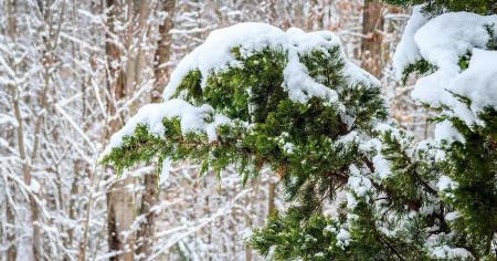 99ab0a581463219148fd1aa37b9f52cc_13.10.25