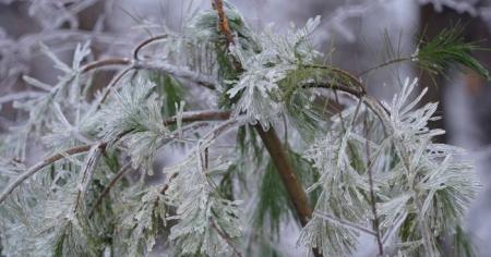 9a14377bcc0027095bacfdc935489a8c_12.01.26_1