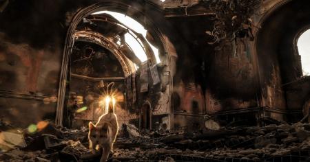 9a391b6024d66211db04236522b96862_01.11.25