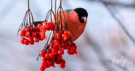 9a79aacb03e9847911bd14e9fde70d13_05.01.26_1