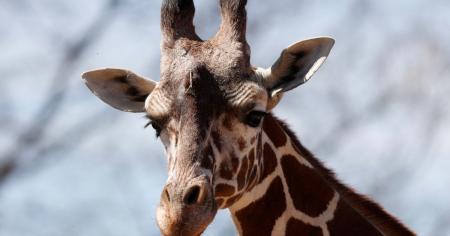 9b4865479c74ca99f4ed83c254c00f92_09.11.25