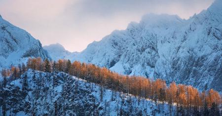 9b91455c40a68bbdcca28b478dd174fe_27.01.26