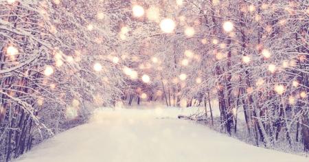 9f13ba5a305b3db4e0fd8f95cf763ab0_14.12.25