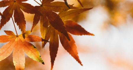 9f49c20c18e0d8cdccf60ac551f0996a_10.11.25