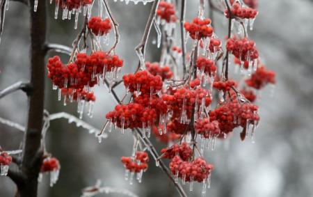 _lid_zima_gettyimages_1244956562_9659c11235fefe8d6f060166bfbe4ecc_650x410_29.01.26