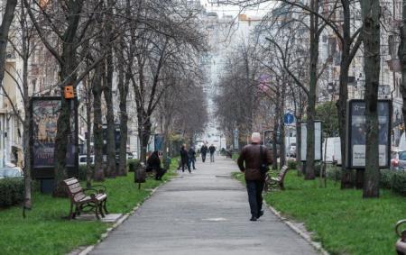 _osin_bulvar_goli_dereva_pasmurno_cholovik_siviy_spinoyu_kii__v_park_foto___vitalii___nosach_rbk_ukrai__na_5_340dc08c1acf732b65ae1a4bea73abe6_650x410_18.12.25