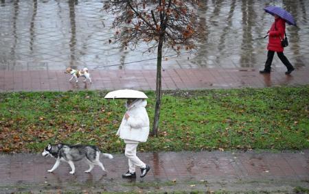 _pogoda_doshch_vigul_sobaka_kiyiv_parasolka_gettyimages_2247516022_502c66d844234a1d7645ba96ae589850_650x410_03.12.25