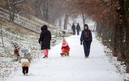 _zima_snig_ditina_zhinka_sobaka_pes_vigul_sobak__gettyimages_2251897040_ec971a58dfa4c59a051607756e217328_650x410_22.0126
