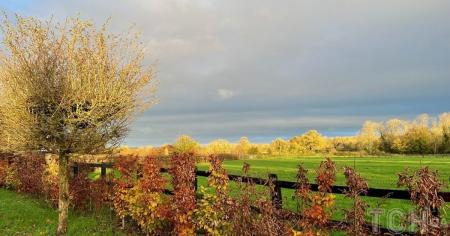Гороскоп на 1 листопада для всіх знаків зодіаку: день, коли Всесвіт з лишком поверне і добро, і зло