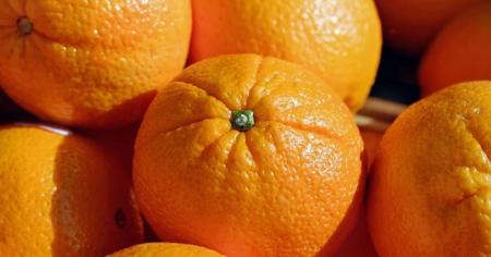 a2307c6b6cd40f609c51ce5f03e6a244_28.0126_1