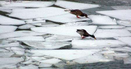 a3399f023628984b6809e8ef4cb4c0e4_18.01.26