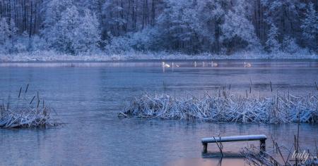 Гороскоп на 7 грудня для всіх знаків зодіаку: день, коли потрібно завершувати розпочате і йти вперед