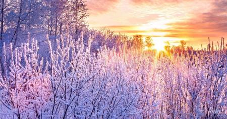 a5a96a612e0042a7d7f6613561f43660_19.01.26