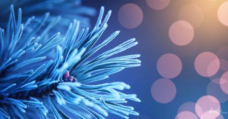 a63728362e73e880e954bfd69c5db1ef_21.12.25