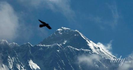 a67700c98ad8b284d6b6ded31dbde6d8_09.02.26_1